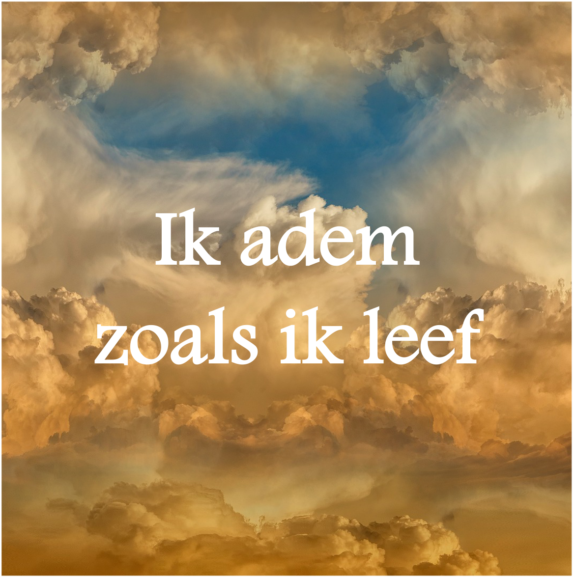 ademanalyse